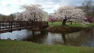 Rahway NJ